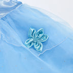 Girl Cinderella Dress Up Floral Children Party Princess Costume Kids Halloween Carnival Outfit Kids Clothes
